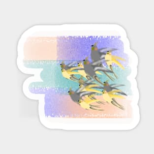 Cockatiel - The Bird of Love Sticker